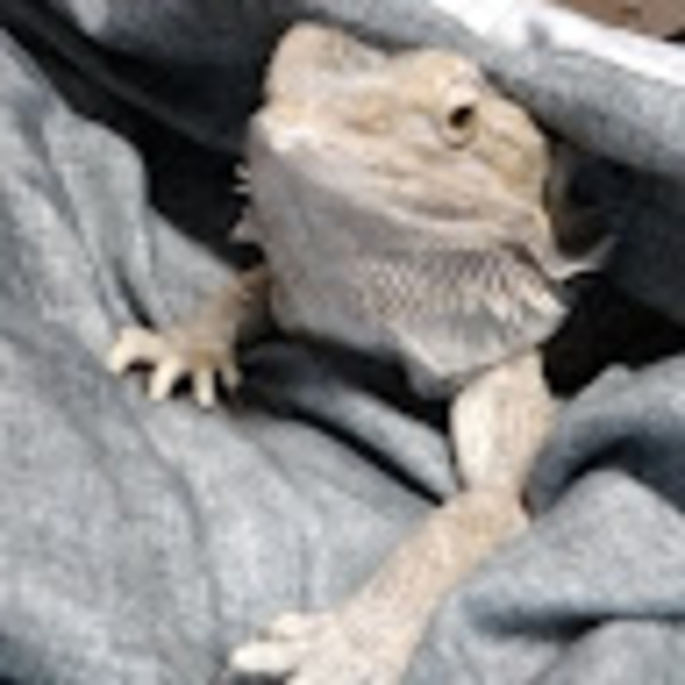 Meet your Posher, Shawna